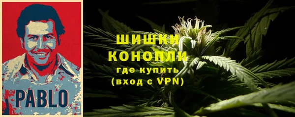 ALPHA-PVP Белокуриха