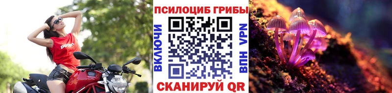 Псилоцибиновые грибы GOLDEN TEACHER  где купить наркоту  гидра зеркало  Пионерский 