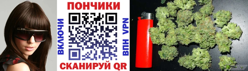 Шишки марихуана индика магазин продажи hydra ССЫЛКА Пионерский